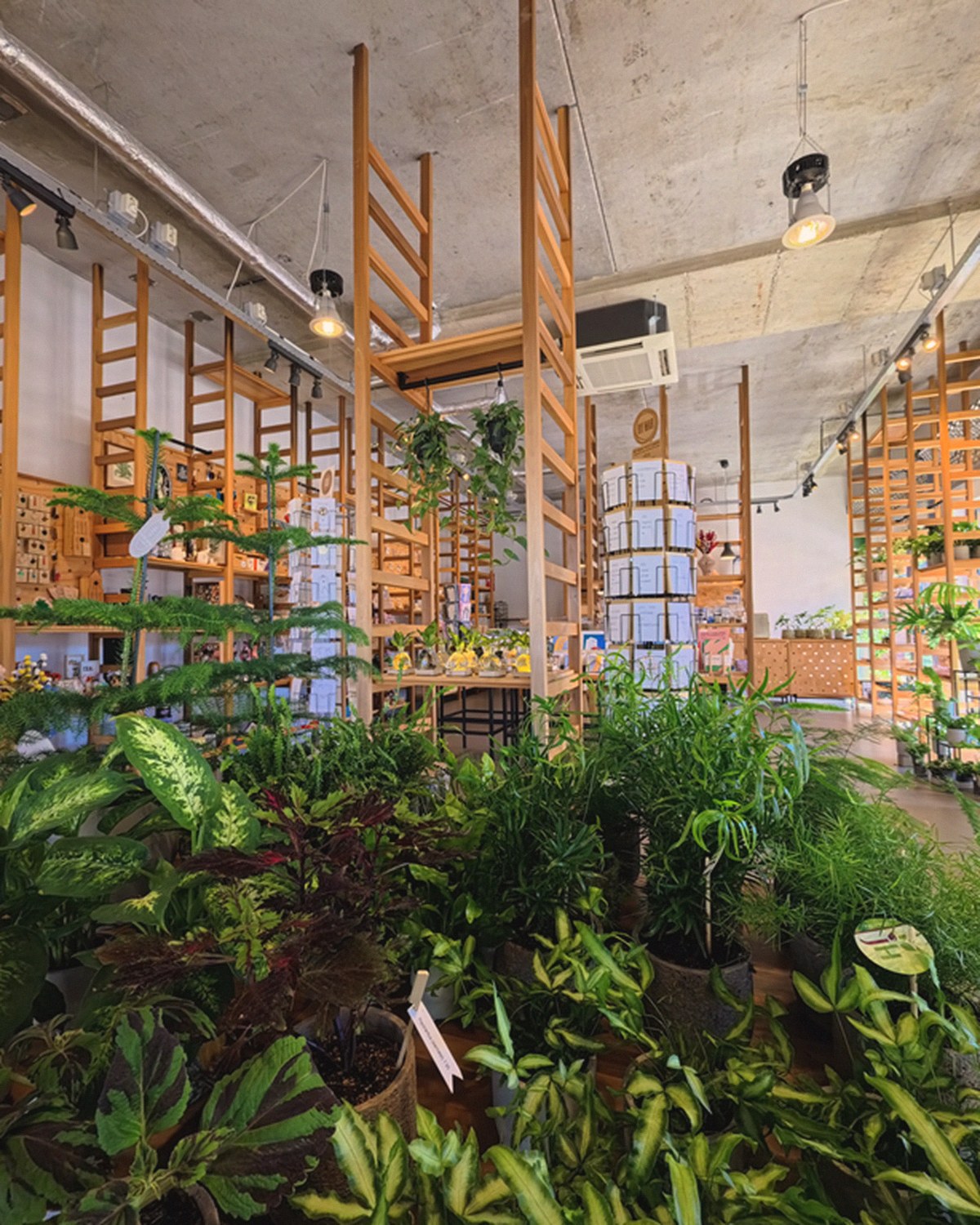 Pit Conceptstore in Utrecht